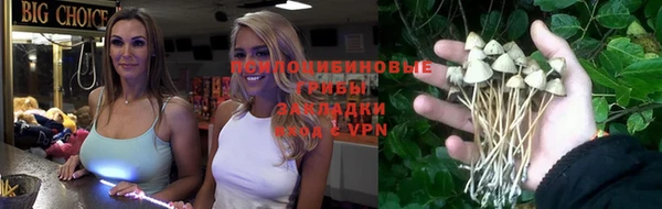 a pvp Бородино