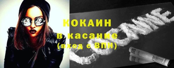 трава Богородицк