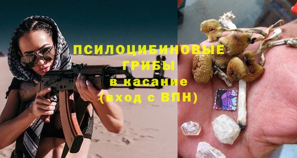 a pvp Бородино