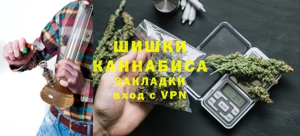 дживик Бронницы