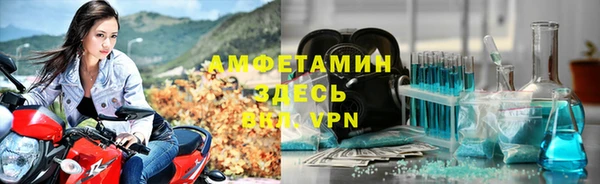 дживик Бронницы