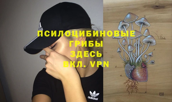 a pvp Бородино