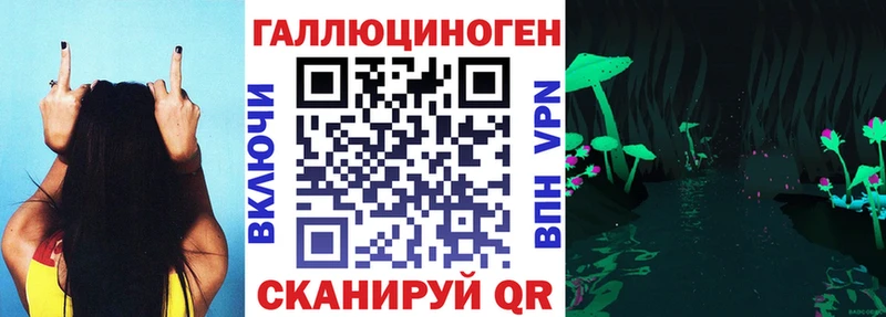Псилоцибиновые грибы MAGIC MUSHROOMS  как найти закладки  Дзержинский 